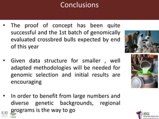 Developing innovative digital technology and genomic approaches to livestock genetic improvement in developing countries