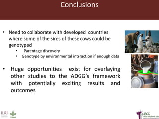Developing innovative digital technology and genomic approaches to livestock genetic improvement in developing countries