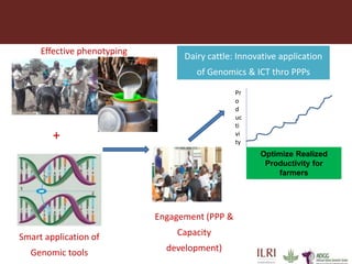 Developing innovative digital technology and genomic approaches to livestock genetic improvement in developing countries