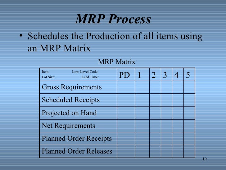 Mrp 1