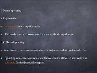 6. Neural sprouting
a. Regeneration :
New growth in damaged neurons.
The newly generated axons may re-innervate the damaged areas.
b. Collateral sprouting :
there is new growth in undamaged neurons adjacent to destroyed neural tissue.
Sprouting would increase synaptic effectiveness and allow the new system to
substitute for the destroyed synapses.
 