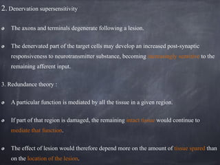 2. Denervation supersensitivity
The axons and terminals degenerate following a lesion.
The denervated part of the target cells may develop an increased post-synaptic
responsiveness to neurotransmitter substance, becoming increasingly sensitive to the
remaining afferent input.
3. Redundance theory :
A particular function is mediated by all the tissue in a given region.
If part of that region is damaged, the remaining intact tissue would continue to
mediate that function.
The effect of lesion would therefore depend more on the amount of tissue spared than
on the location of the lesion.
 