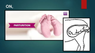Parturition | PPTX | Pregnancy | Reproductive Health