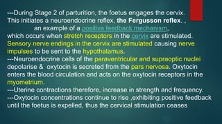Parturition | PPT