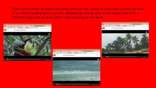 There are a series of shots that show parts of the island, to start with a close up shot 
of an exotic looking bird in a tree, followed by a long shot of the waves and then a 
medium long shot of some palm trees blowing in the wind. 
 