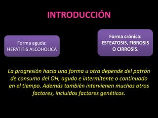 INTRODUCCIÓN
La progresión hacia una forma u otra depende del patrón
de consumo del OH, agudo e intermitente o continuado
...