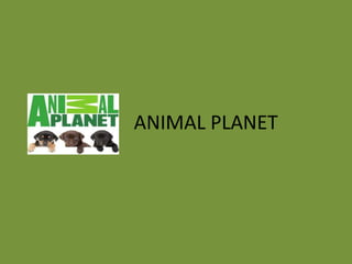ANIMAL PLANET
 