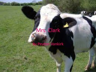 Mrs. Clark
By Peyton Vankirk

 