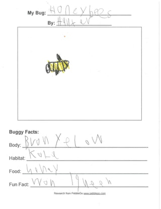 Mrs. rogge's class   bug research 