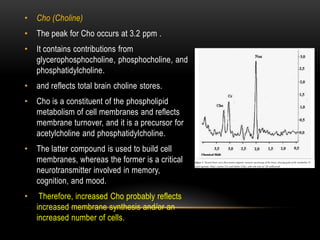 MR Spectroscopy | PDF
