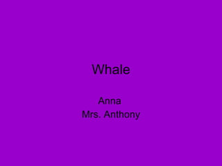 Whale Anna  Mrs. Anthony 