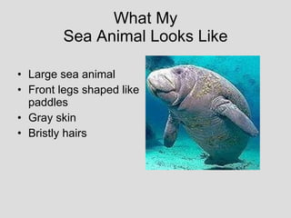 Mrs. Anthony Grade 2 Sea Animals
