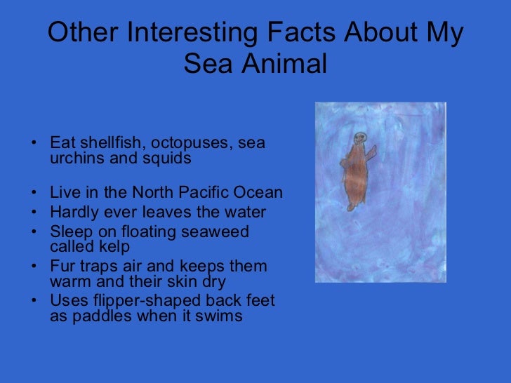 Mrs. Anthony Grade 2 Sea Animals