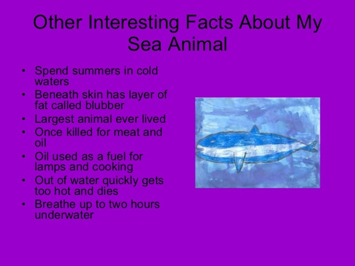 Mrs. Anthony Grade 2 Sea Animals