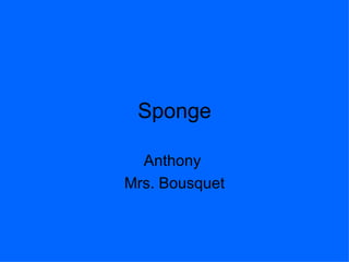 Sponge Anthony  Mrs. Bousquet 