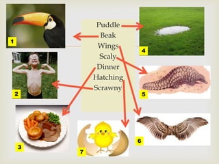 
Puddle
Beak
Wings
Scaly
Dinner
Hatching
Scrawny
1
2
3
4
5
6
7
 