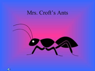 Mrs. Croft’s Ants 