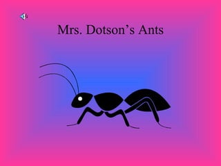 Mrs. Dotson’s Ants 
