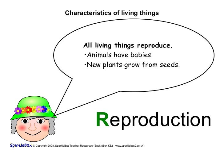 Characteristics Of Living Things Characteristics Of Living Things