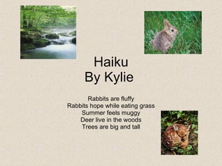 Haiku By Kylie  Rabbits are fluffy Rabbits hope while eating grass Summer feels muggy Deer live in the woods Trees are big and tall 