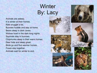Winter  By: Lacy  Animals are asleep. It is winter at their homes. Rats snuggle a lot. Bunnies huddle and stay at home. Bears sleep in dark caves. Wolves howl in the dark long nights. Squirrels stay in burrows. Chipmunks sleep in their warm homes. Deer hide and sleep great. Birds go and find warmer homes. Foxes stay together. Animals wait for winter to end. 