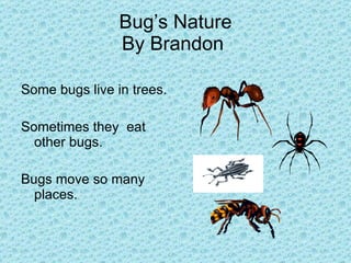 Bug’s Nature By Brandon  Some bugs live in trees. Sometimes they  eat other bugs.  Bugs move so many places. 