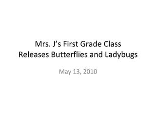 Mrs. J’s First Grade Class Releases Butterflies and Ladybugs May 13, 2010 
