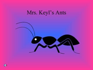 Mrs. Keyl’s Ants 