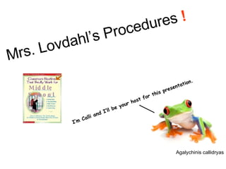 I’m Calli and I’ll be your host for this presentation. Mrs. Lovdahl’s Procedures  !   Agalychinis callidryas Middle School 