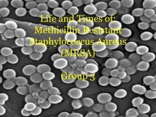Life and Times of: Methicillin Resistant Staphylococcus Aureus (MRSA)Group 3  