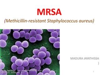 MRSA
(Methicillin-resistant Staphylococcus aureus)
MADURA JAYATHISSA
)
1
 