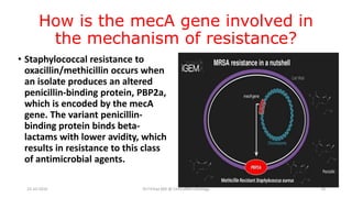 How is the mecA gene involved in
the mechanism of resistance?
• Staphylococcal resistance to
oxacillin/methicillin occurs when
an isolate produces an altered
penicillin-binding protein, PBP2a,
which is encoded by the mecA
gene. The variant penicillin-
binding protein binds beta-
lactams with lower avidity, which
results in resistance to this class
of antimicrobial agents.
23-10-2016 Dr.T.V.Rao MD @ ClinicalMicrobiology 18
 
