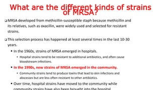 What are the different kinds of strains
of MRSA?
 MRSA developed from methicillin-susceptible staph because methicillin and
its relatives, such as oxacillin, were widely used and selected for resistant
strains.
 This selection process has happened at least several times in the last 10-30
years.
 In the 1960s, strains of MRSA emerged in hospitals.
• Hospital strains tend to be resistant to additional antibiotics, and often cause
bloodstream infections.
 In the 1990s, new strains of MRSA emerged in the community.
• Community strains tend to produce toxins that lead to skin infections and
abscesses but are less often resistant to other antibiotics.
 Over time, hospital strains have moved to the community while
 