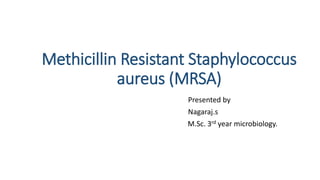 Methicillin Resistant Staphylococcus
aureus (MRSA)
Presented by
Nagaraj.s
M.Sc. 3rd year microbiology.
 