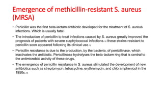 Emergence of methicillin-resistant S. aureus
(MRSA)
• Penicillin was the first beta-lactam antibiotic developed for the treatment of S. aureus
infections. Which is usually fatal.1
• The introduction of penicillin to treat infections caused by S. aureus greatly improved the
prognosis of patients with severe staphylococcal infections.12 these strains resistant to
penicillin soon appeared following its clinical use.12
• Penicillin resistance is due to the production, by the bacteria, of penicillinase, which
inactivates the antibiotic. Penicillinase hydrolyses the beta-lactam ring that is central to
the antimicrobial activity of these drugs.
• The emergence of penicillin resistance in S. aureus stimulated the development of new
antibiotics such as streptomycin, tetracycline, erythromycin, and chloramphenicol in the
1950s.12
 