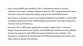 • mecC carrying MRSA was identified in 2007, a retrospective search of archived
collections found mecC in isolates collected as early as 1975. indicating that these strains
have been around for a long time possibly as long as the mecA-MRSA strains.6
• MecC gene is a homolog of mecA. It was initially designated mecALGA251. It shares 69%
nucleotide homology with mecA.6 MRSA isolates carrying mecC have been isolated from
human as well as animal hosts.8
• the mecA PCR or PBP2a latex agglutination test fails to detect mecC. In sensitivity
testing, using both cefoxitin and oxacillin, mecA-MRSA show resistance to both antibiotics
whereas the majority of mecC MRSA will express resistance only to cefoxitin.8 This
discrepancy is explained by the observation that PBP2a produced by mecC strains have
higher affinity to oxacillin than cefoxitin.8
 