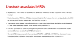 Livestock-associated MRSA
• Staphylococcus aureus is also an important cause of infections in live stock resulting in economic losses in the food
industry.11
• Livestock-associated MRSA (LA-MRSA) strains were initially identified because they were non-typeable by pulsed-field
gel electrophoresis following digestion with SmaI restriction enzyme.12
• The molecular typing revealed that LA-MRSA defined to a new lineage of MRSA that belonged to clonal complex 398
(CC398).16 the LA-MRSA ST398 was initially reported among livestock,11,12
• it has also appeared in the community among human patients in contact with infected or colonized animals which is
considered the major risk factor for LA-MRSA colonization.12
• Other LA-MRSA lineages reported in humans include ST9, ST97 and ST433.18 LA-MRSA has also caused invasive
infections including endocarditis, osteomyelitis, and ventilator-associated pneumonia in humans.13,14
 