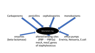 Carbapenems penicillins cephalosporins monobactams
enzymes altered binding sites efflux pumps
(beta-lactamase) (PBP PBP2a) Erwinia, Neisseria, E.coli
mecA, mecC genes
of staphylococcus
Beta-lactam ring
 