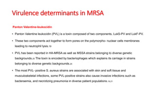 Virulence determinants in MRSA
Panton Valentine-leukocidin
• Panton Valentine leukocidin (PVL) is a toxin composed of two components, LukS-PV and LukF-PV.
• These two components act together to form pores on the polymorpho- nuclear cells membranes
leading to neutrophil lysis.19
• PVL has been reported in HA-MRSA as well as MSSA strains belonging to diverse genetic
backgrounds.20 The toxin is encoded by bacteriophages which explains its carriage in strains
belonging to diverse genetic backgrounds.20
• The most PVL- positive S. aureus strains are associated with skin and soft tissue and
musculoskeletal infections, some PVL-positive strains also cause invasive infections such as
bacteraemia, and necrotizing pneumonia in diverse patient populations.19,21
 