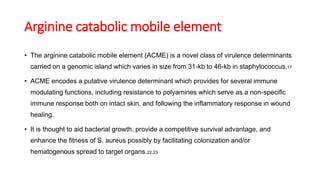 Arginine catabolic mobile element
• The arginine catabolic mobile element (ACME) is a novel class of virulence determinants
carried on a genomic island which varies in size from 31-kb to 46-kb in staphylococcus.17
• ACME encodes a putative virulence determinant which provides for several immune
modulating functions, including resistance to polyamines which serve as a non-specific
immune response both on intact skin, and following the inflammatory response in wound
healing.
• It is thought to aid bacterial growth, provide a competitive survival advantage, and
enhance the fitness of S. aureus possibly by facilitating colonization and/or
hematogenous spread to target organs.22,23
 