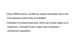 • Some MRSA strains, CC398 are readily transmitted with in the
host species to which they are adopted.
• Inhalation of contaminated dust, which can contain large no.of
organisms, is thought to be a major route of spread in
confinement operations.
 