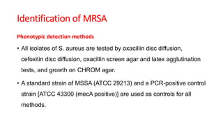 Identification of MRSA
Phenotypic detection methods
• All isolates of S. aureus are tested by oxacillin disc diffusion,
cefoxitin disc diffusion, oxacillin screen agar and latex agglutination
tests, and growth on CHROM agar.
• A standard strain of MSSA (ATCC 29213) and a PCR-positive control
strain [ATCC 43300 (mecA positive)] are used as controls for all
methods.
 