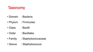 Taxonomy
• Domain : Bacteria
• Phylum : Firmicutes
• Class : Bacilli
• Order : Bacillales
• Family : Staphylococcaceae
• Genus : Staphylococcus
 