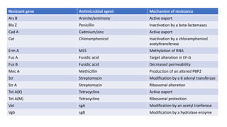 Resistant gene Antimicrobial agent Mechanism of resistance
Ars B Arsinite/antimony Active export
Bla Z Penicillin Inactivation by a beta-lactamases
Cad A Cadmium/zinc Active export
Cat Chloramphenicol Inactivation by a chloramphenicol
acetyltransferase
Erm A MLS Methylation of RNA
Fus A Fusidic acid Target alteration in EF-G
Fus B Fusidic acid Decreased permeability
Mec A Methicillin Production of an altered PBP2
Str Streptomycin Modification by a 6 adenyl transferase
Str A Streptomycin Ribosomal alteration
Tet A(K) Tetracycline Active export
Tet A(M) Tetracycline Ribosomal protection
Vat sgA Modification by an acetyl tranferase
Vgb sgB Modification by a hydrolase enzyme
 