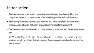 Introduction
• Staphylococci are gram positive cocci that occur in grape like clusters. They are
ubiquitous and most common cause of localised suppurative lesions in humans.
• Their ability to develop resistance to penicillin and other antibiotics enhance their
importance as a human pathogen, especially in the hospital environment.
• Staphylococci was first observed in human pyogenic lesions by von Recklinghausen in
1871.
• Sir Alexander Ogston who gave it name Staphylococcus (staphyle= bunch of grapes,
kokkos= berry). He noticed that Non-virulent Staphylococci were also often present on
skin surfaces.
 