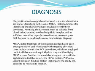 DIAGNOSIS 
Diagnostic microbiology laboratories and reference laboratories 
are key for identifying outbreaks of MRSA. Faster techniques for 
identifying and characterizing MRSA have recently been 
developed. Normally, the bacterium must be cultured from 
blood, urine, sputum, or other body-fluid samples, and in 
sufficient quantities to perform confirmatory tests early-on. 
Still, because no quick and easy method exists to diagnose 
MRSA, initial treatment of the infection is often based upon 
'strong suspicion' and techniques by the treating physician; 
these include quantitative PCR procedures, which are employed 
in clinical laboratories for quickly detecting and identifying 
MRSA strains. Another common laboratory test is a rapid latex 
agglutination test that detects the PBP2a protein. PBP2a is a 
variant penicillin-binding protein that imparts the ability of S. 
aureus to be resistant to oxacillin. 
 