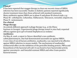 Clinical 
It has been reported that maggot therapy to clean out necrotic tissue of MRSA 
infection has been successful. Studies in diabetic patients reported significantly 
shorter treatment times than those achieved with standard treatments. 
Many antibiotics against MRSA are in phase II and phase III clinical trials. e.g.: 
Phase III : ceftobiprole, Ceftaroline, Dalbavancin, Telavancin, torezolid, iclaprim etc. 
Phase II : nemonoxacin. 
Pre-clinical 
Phage therapy 
An entirely different approach is phage therapy (e.g., at the Eliava 
Institute in Georgia). Experimental phage therapy tested in mice had a reported 
efficacy against up to 95% of tested Staphylococcus isolates.[ 
Antibiotics 
On May 18, 2006, a report in Nature identified a new antibiotic, 
called platensimycin, that had demonstrated successful use against MRSA. 
A new class of non-β-lactam antibiotics, oxadiazoles, was reported to be effective 
against MRSA infection in mouse models. The mechanisms of oxadiazoles’ 
antibacterial effect are the inhibition of the penicillin binding protein, PBP2a and 
biosynthesis of the bacterial cell wall. It was found to have bactericidal activity 
against vancomycin- and linezolid-resistant MRSA and other Gram-positive 
bacterial strains. 
 