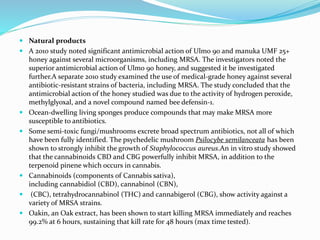  Natural products 
 A 2010 study noted significant antimicrobial action of Ulmo 90 and manuka UMF 25+ 
honey against several microorganisms, including MRSA. The investigators noted the 
superior antimicrobial action of Ulmo 90 honey, and suggested it be investigated 
further.A separate 2010 study examined the use of medical-grade honey against several 
antibiotic-resistant strains of bacteria, including MRSA. The study concluded that the 
antimicrobial action of the honey studied was due to the activity of hydrogen peroxide, 
methylglyoxal, and a novel compound named bee defensin-1. 
 Ocean-dwelling living sponges produce compounds that may make MRSA more 
susceptible to antibiotics. 
 Some semi-toxic fungi/mushrooms excrete broad spectrum antibiotics, not all of which 
have been fully identified. The psychedelic mushroom Psilocybe semilanceata has been 
shown to strongly inhibit the growth of Staphylococcus aureus.An in vitro study showed 
that the cannabinoids CBD and CBG powerfully inhibit MRSA, in addition to the 
terpenoid pinene which occurs in cannabis. 
 Cannabinoids (components of Cannabis sativa), 
including cannabidiol (CBD), cannabinol (CBN), 
 (CBC), tetrahydrocannabinol (THC) and cannabigerol (CBG), show activity against a 
variety of MRSA strains. 
 Oakin, an Oak extract, has been shown to start killing MRSA immediately and reaches 
99.2% at 6 hours, sustaining that kill rate for 48 hours (max time tested). 
 