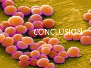 CONCLUSION 
 