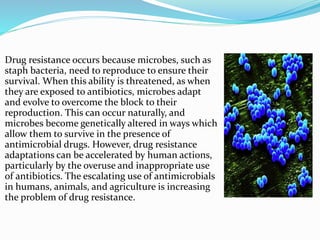 Drug resistance occurs because microbes, such as 
staph bacteria, need to reproduce to ensure their 
survival. When this ability is threatened, as when 
they are exposed to antibiotics, microbes adapt 
and evolve to overcome the block to their 
reproduction. This can occur naturally, and 
microbes become genetically altered in ways which 
allow them to survive in the presence of 
antimicrobial drugs. However, drug resistance 
adaptations can be accelerated by human actions, 
particularly by the overuse and inappropriate use 
of antibiotics. The escalating use of antimicrobials 
in humans, animals, and agriculture is increasing 
the problem of drug resistance. 
 